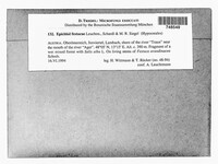 Image Associated With the Occurence